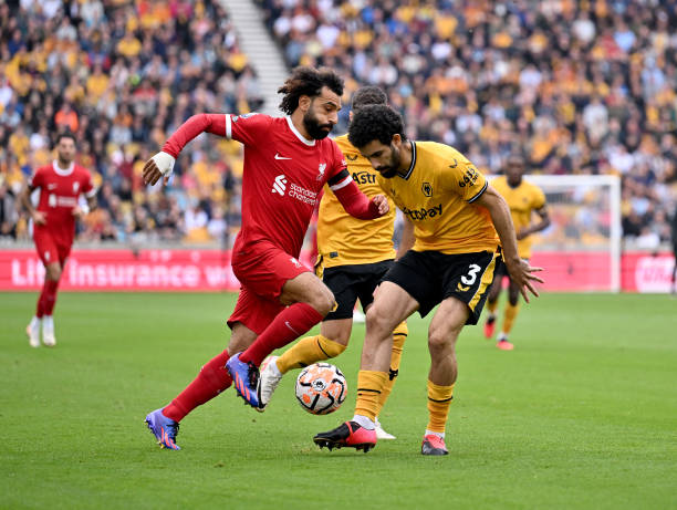 的身体健康 的身体健康